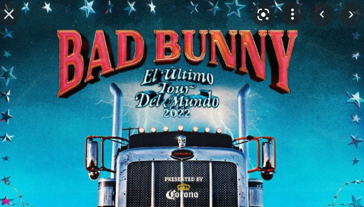 Bad Bunny Fits!
