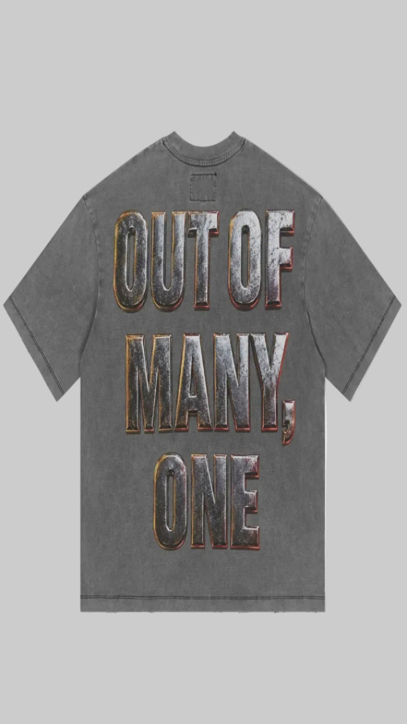 Gray t-shirt with 'OUT OF MANY, ONE' text on a white background
