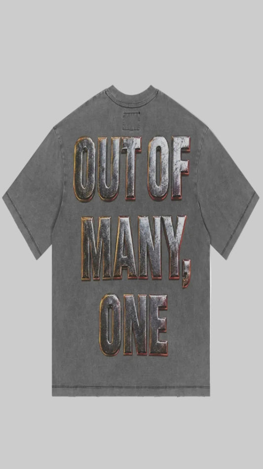 Gray t-shirt with 'OUT OF MANY, ONE' text on a white background