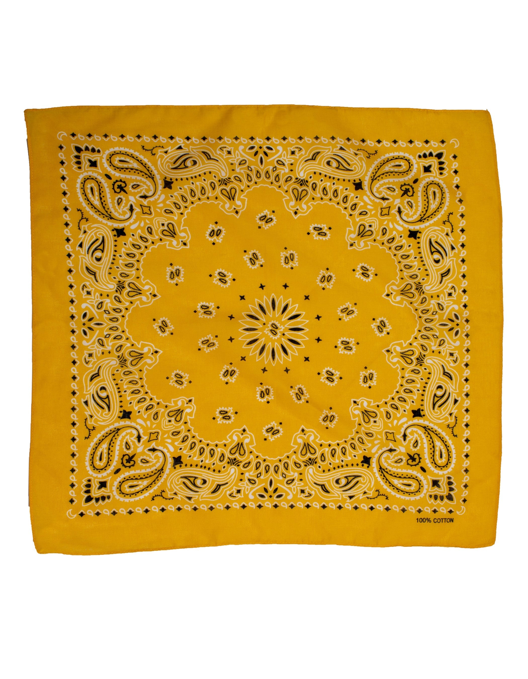 OMJOI Paisley Bandanas - DENiMPiRE