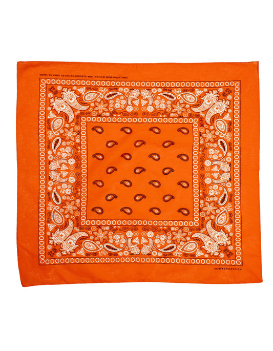 OMJOI Paisley Bandanas - DENiMPiRE