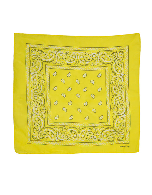 OMJOI Paisley Bandanas - DENiMPiRE