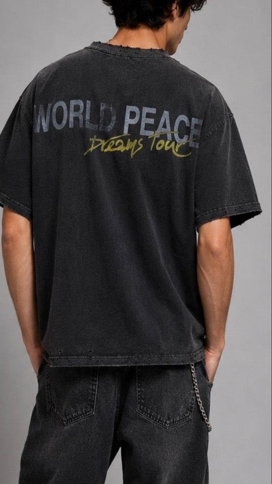 Person wearing a black t-shirt with 'World Peace Dreams Tour' text on the back against a gray background